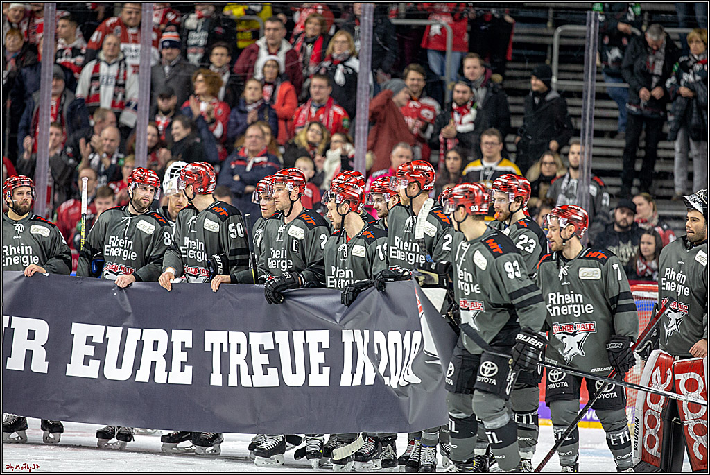 DEL; Koelner Haie - Grizzlys Wolfsburg, 26.12.2018